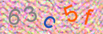 capcha